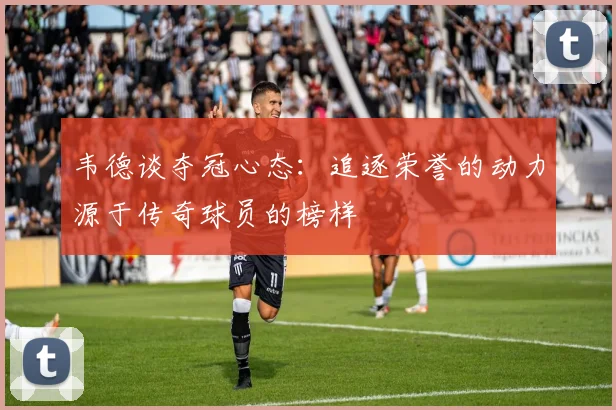 韦德谈夺冠心态：追逐荣誉的动力源于传奇球员的榜样