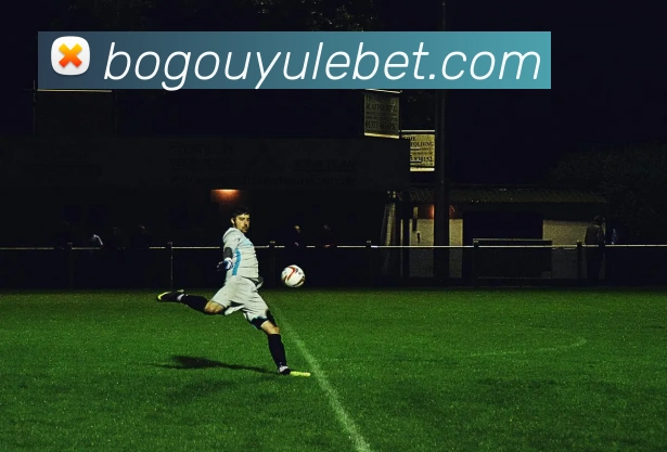 博狗娱乐品牌故事