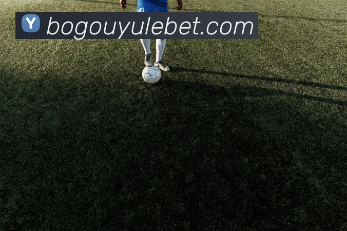 博狗娱乐服务体系